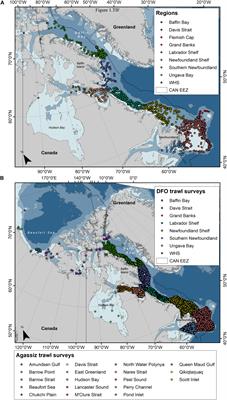 Cold-Water Soft Corals (Cnidaria: Nephtheidae) as Habitat for Juvenile Basket Stars (Echinodermata: Gorgonocephalidae)